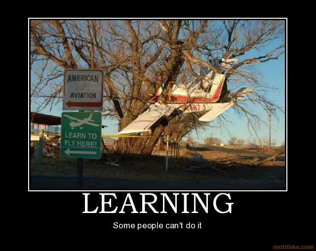 learning_to_fly